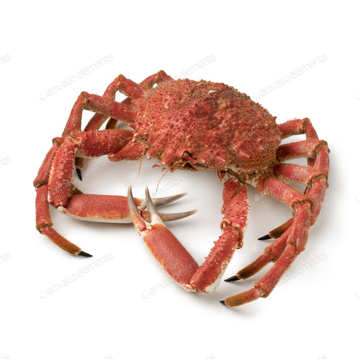 Cooked crab images downloader